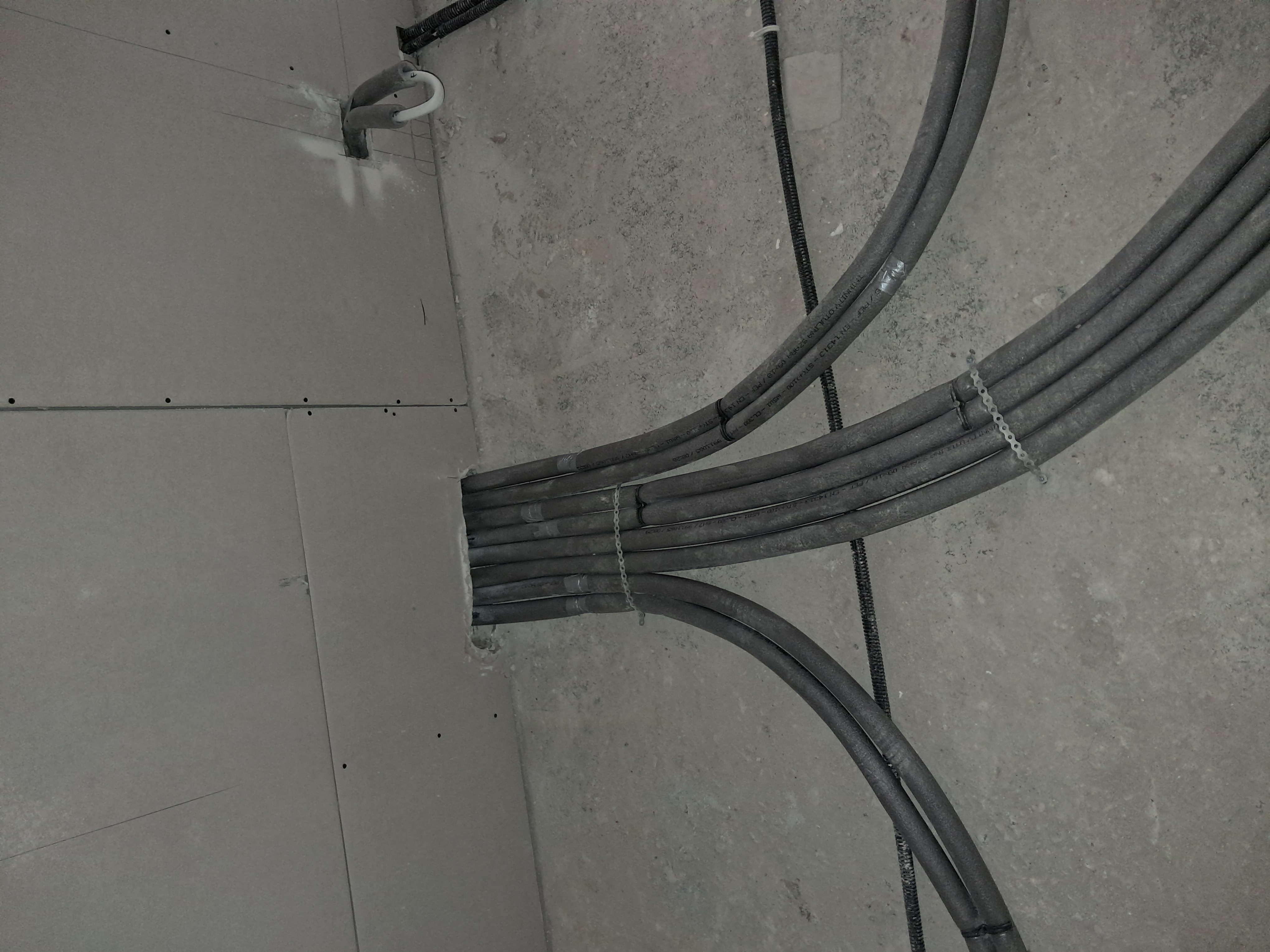 20260724_115611.jpg
